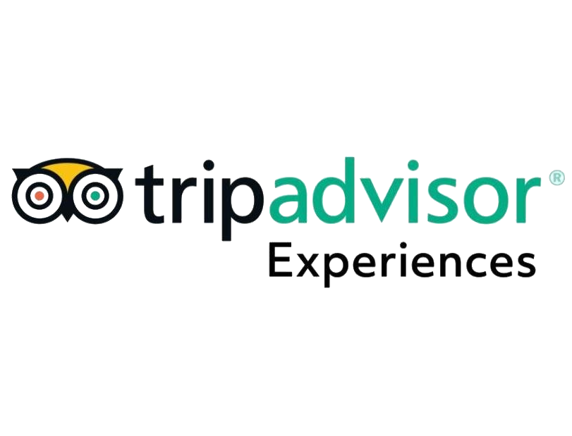 Tripadvisor Experience